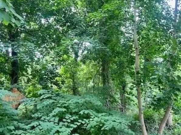 Lot 39 Lincoln Avenue, Selden, NY 11784