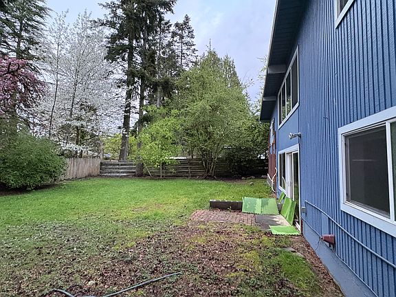 Back yard