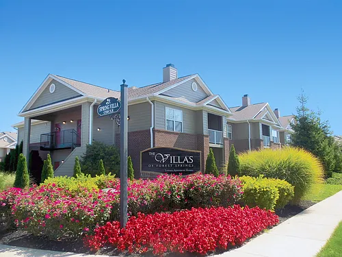 Villas of Forest Springs Photo 1