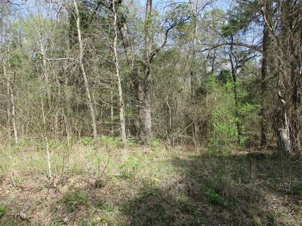 County Road 2958, Alba, TX 75410