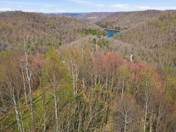 0 Halls Hill Rd, Smithville, TN 37166