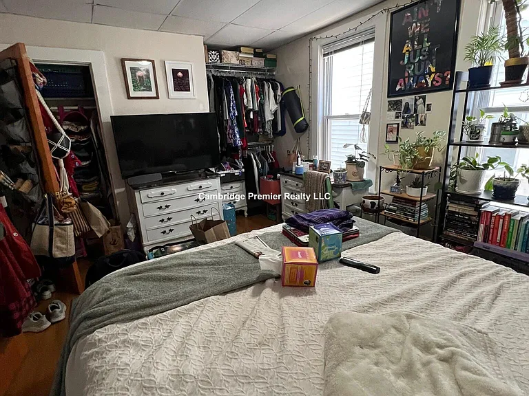 279 Pearl St #3 — Photo 10