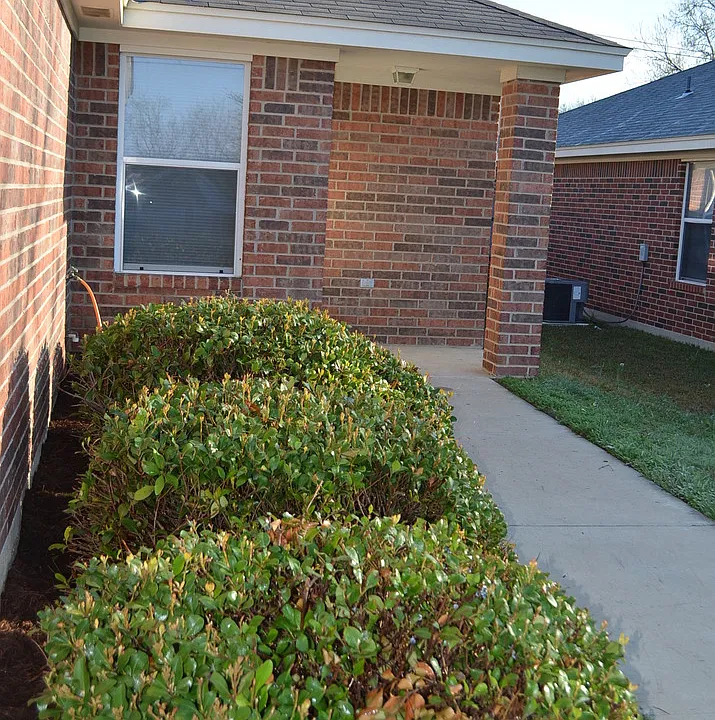 926 Rosewood Dr