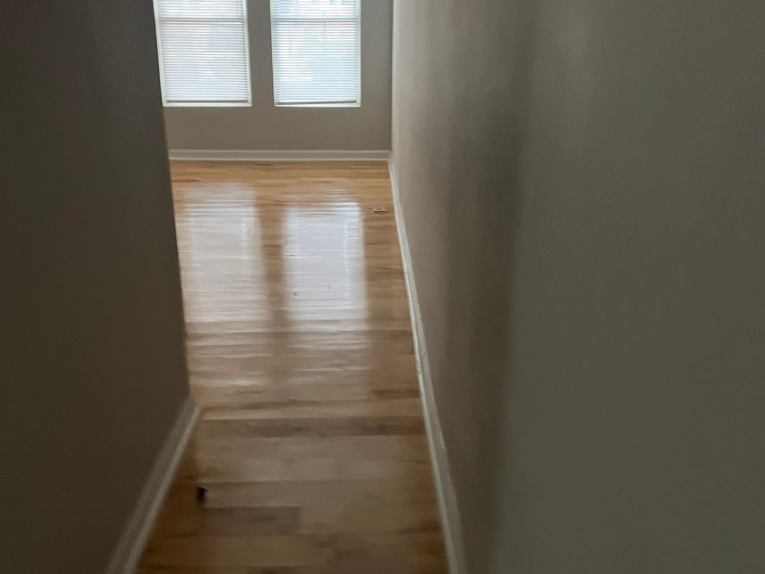 1 bed, 900 sqft, $1,150 — Photo 4