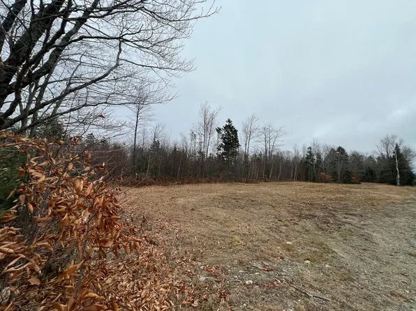 065-008 Airline Road, Alexander, ME 04694