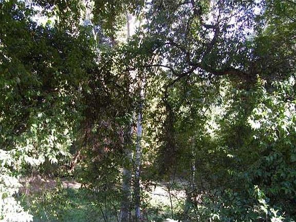 2nd image of 5663 Del Cerro Ave