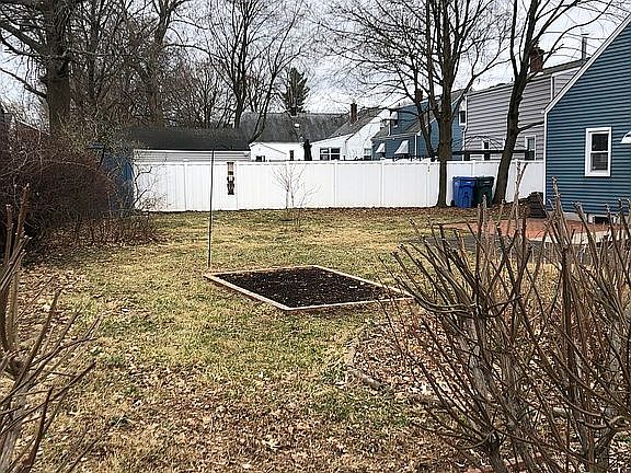 Vegie gardens & fruit bushes