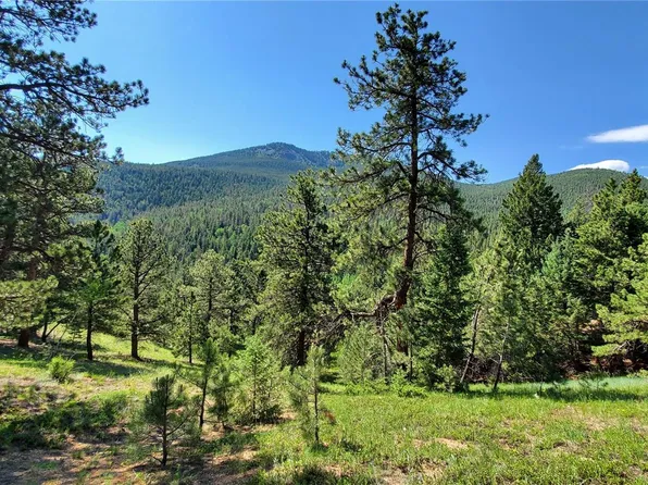 00 Twin Spruce Road, Golden, CO 80403