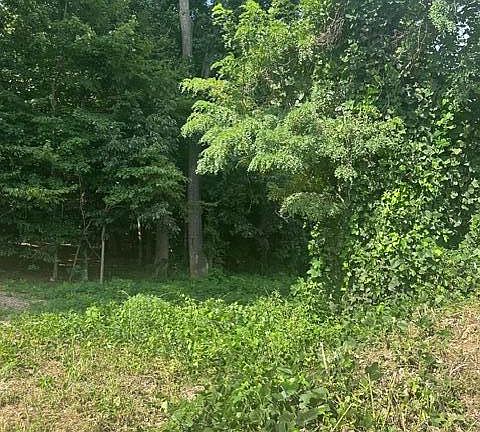 5th image of 481 Laurel Ridge Ln