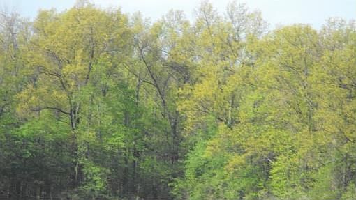 5th image of 11390 E County Road 24