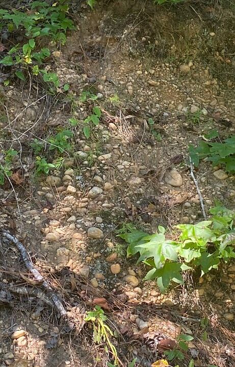 Possible gravel vein.