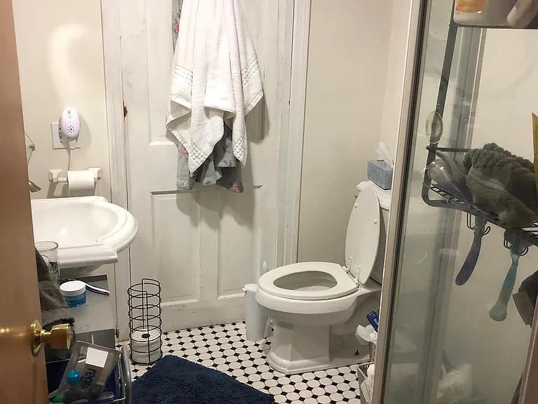 lower level bathroom
