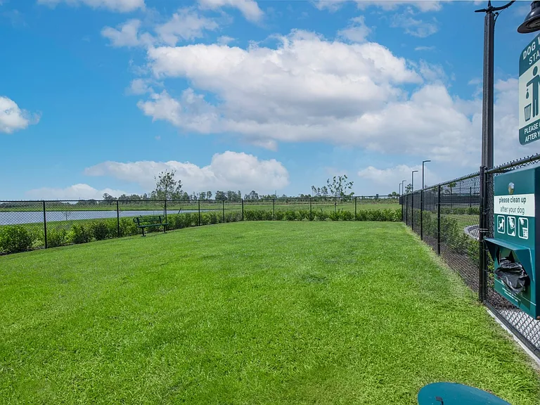 Dog Park