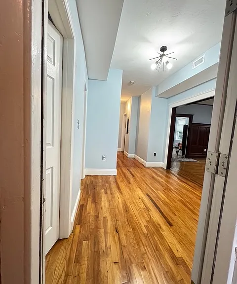 55 Lithgow St — Photo 14