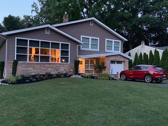 Removed huge dying trees