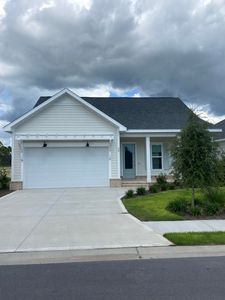 30 Wood Stork Way LOT 109, Rosemary Beach, FL, 32461