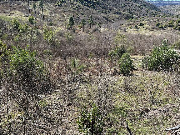 2nd image of 1234 Hog Ranch Rd