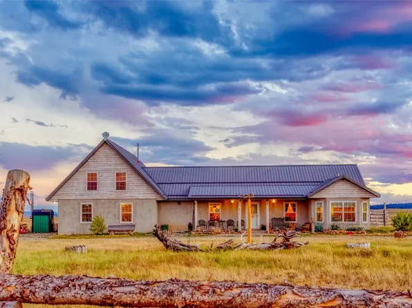 170 Black Knat Rd, Fairplay, CO 80440