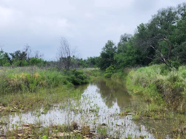 14396 State Highway 6, Moran, TX 76464