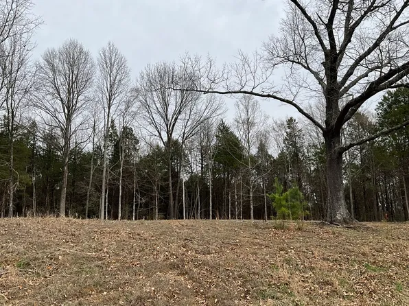 305 Pecan Ln, Goreville, IL 62939