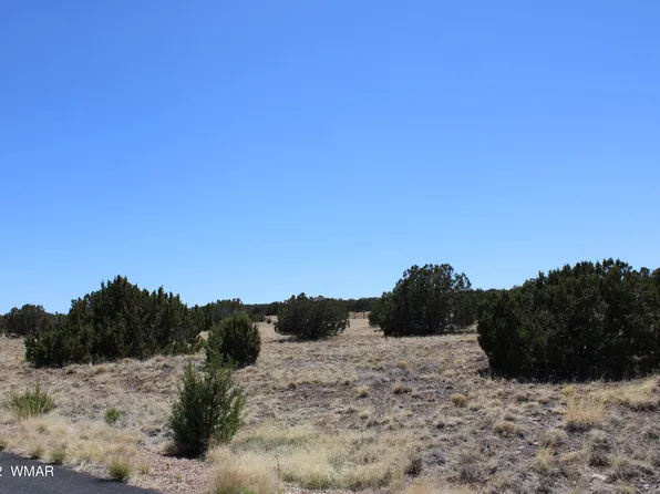 2524 Rock View Dr, Show Low, AZ 85901
