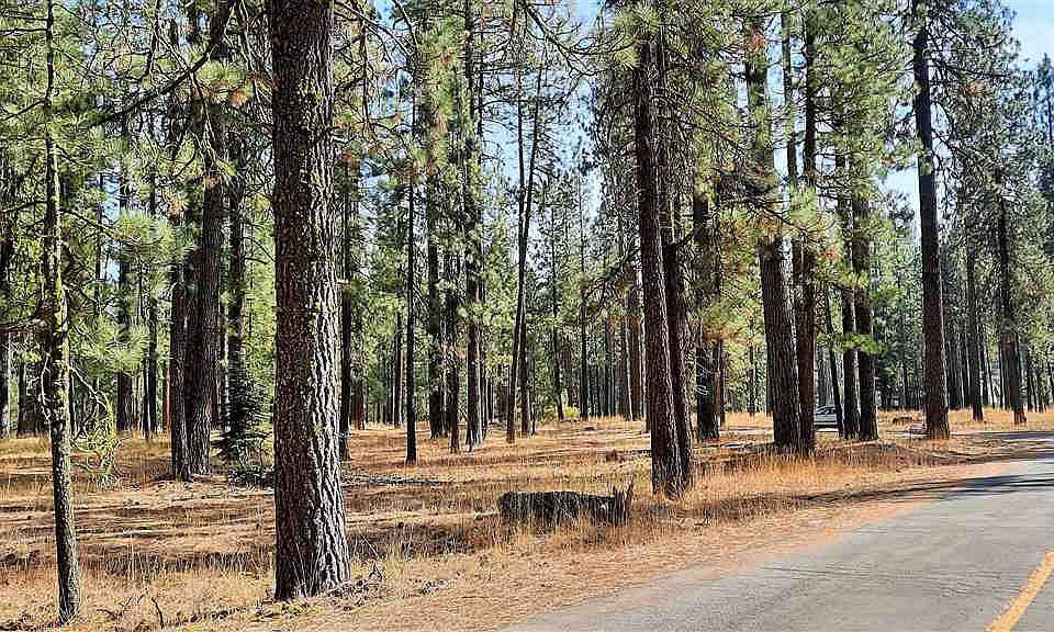 1st image of 49 E Ponderosa Dr