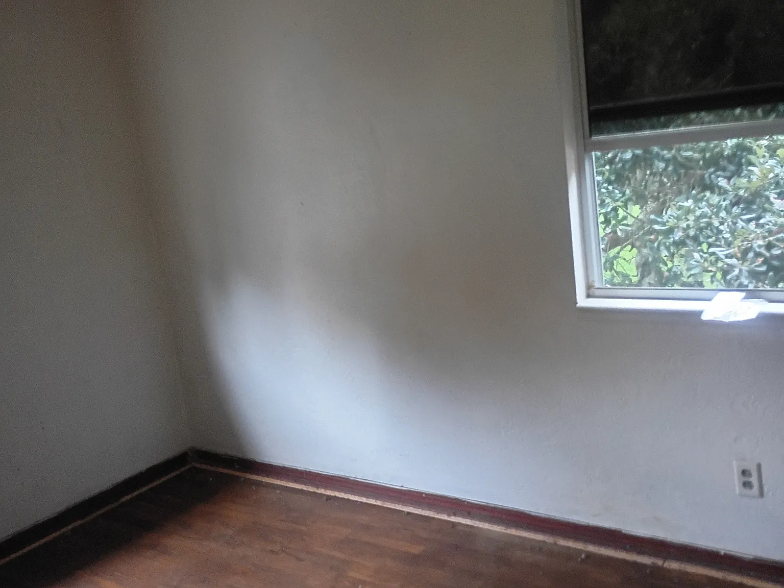 1 bed, 350 sqft, $700 — Photo 2