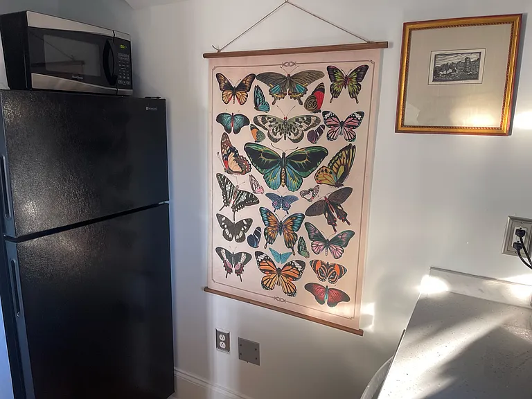 611 Rutledge Ave #C — Photo 5
