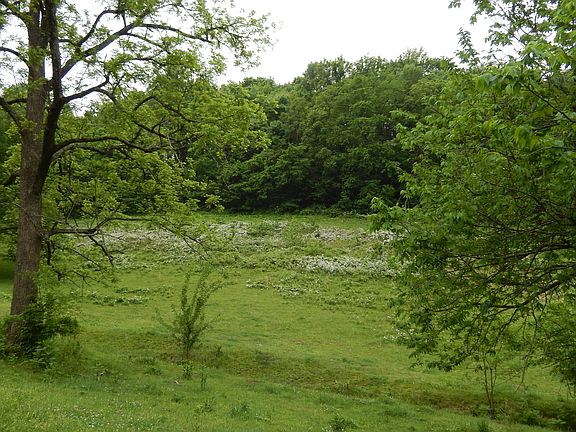 great area to build homes