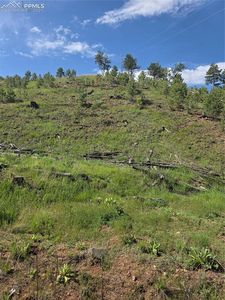 14874 Evergreen Pl, Woodland Park, CO, 80863