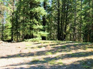 516 Mountain View Dr, Fairplay, CO 80440