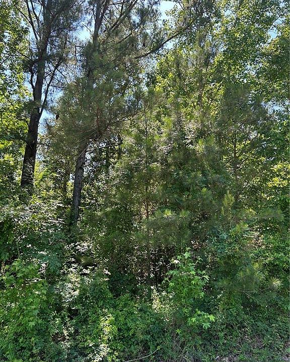 2nd image of 436 Chase Ct