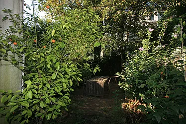 Rented by Dwell Residential Inc