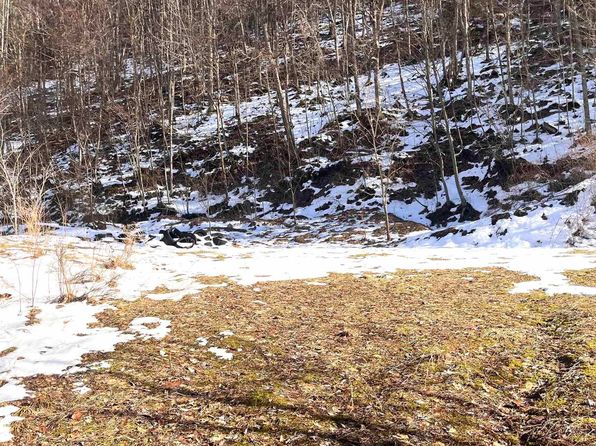 TRACT 1 Fill Hollow Rd, Tunnelton, WV 26444