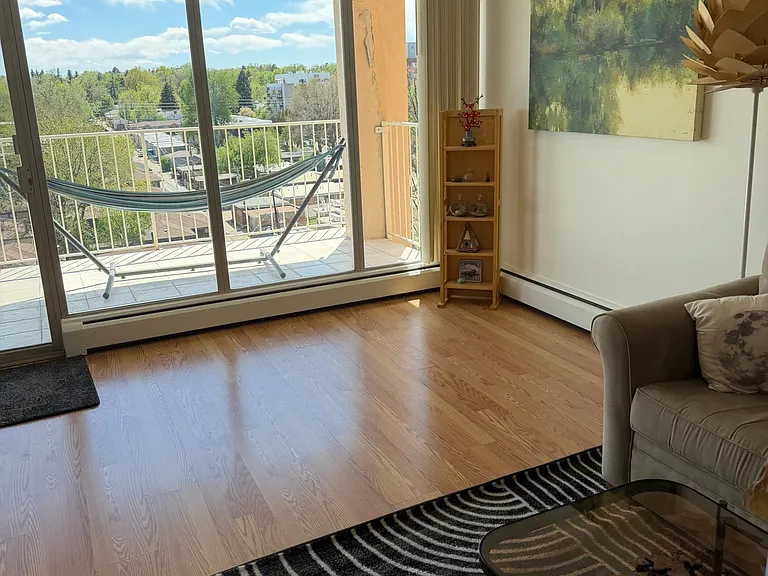 955 Eudora St #802E — Photo 8