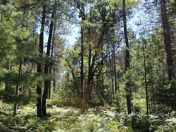 5th image of Brlnd Lake Evelands Way Lot 11