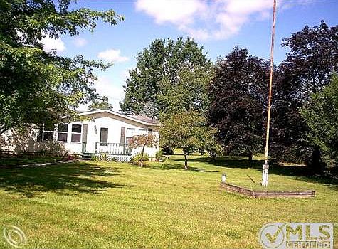 Surrounded by Marture Trees