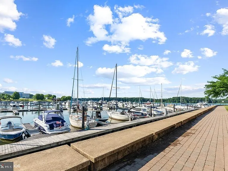 500 Belmont Bay Dr #205 — Photo 39