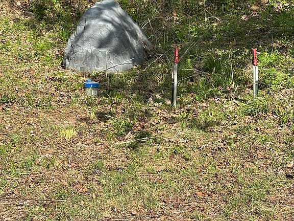5th image of 7792 Burks Rd
