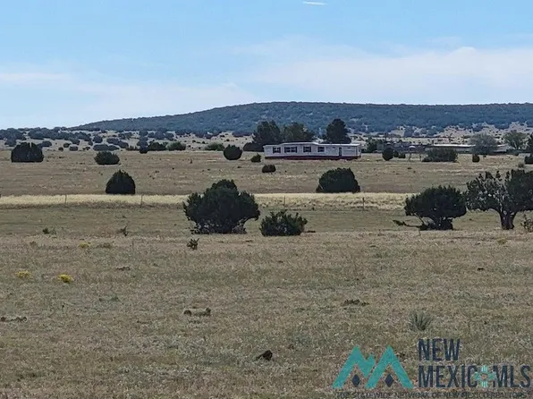 479 Lexco Rd, Moriarty, NM 87035