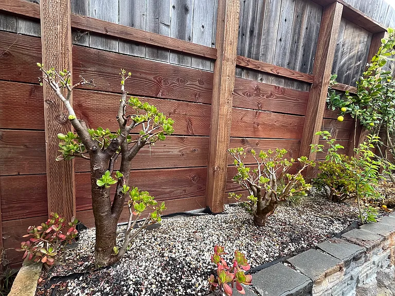 36 Westdale Ave — Photo 10