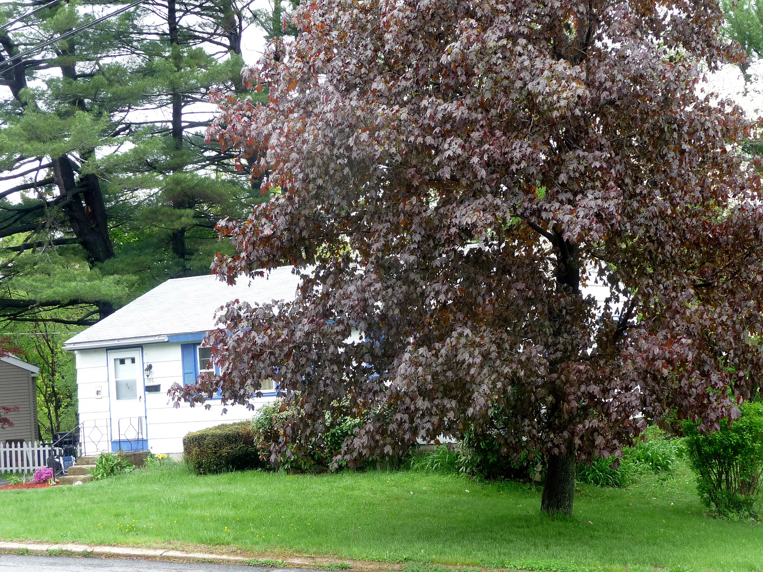 396 Leslie Dr — Photo 2