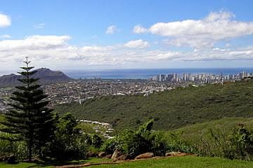 View From the Back Yard
