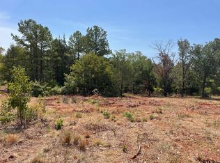 12324 Hackberry Holw, Tyler, TX 75706