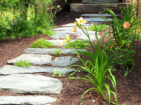 Take a walk down a path