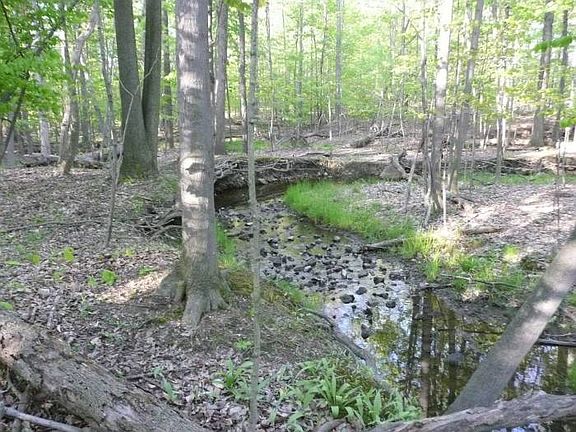 Stream