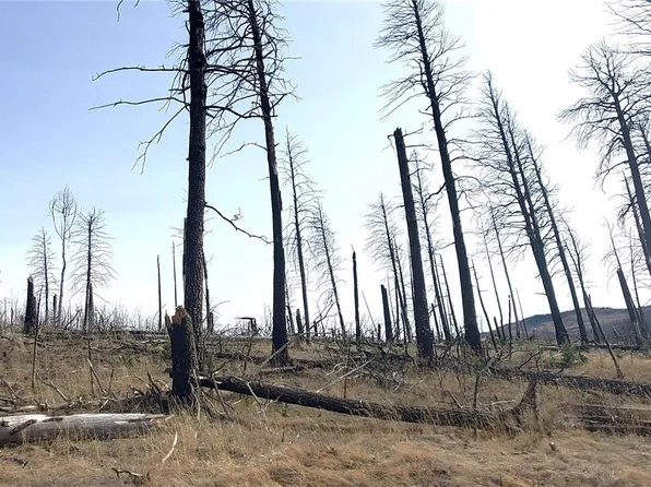 Lot 1224 Emery Loop LOT 1224, Fort Garland, CO 81133