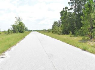 29 Chestnut Ln, Garfield, GA 30425