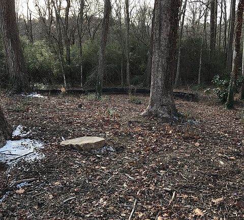 down left side of lot