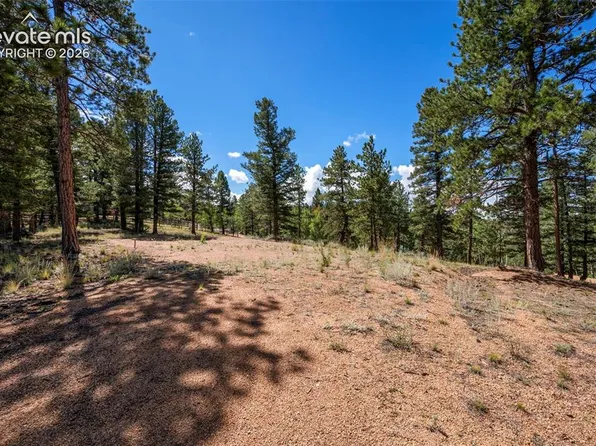 210 Donzi Trl, Florissant, CO 80816